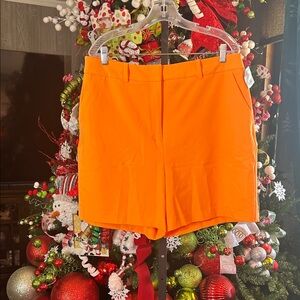 New New York & Company Shorts